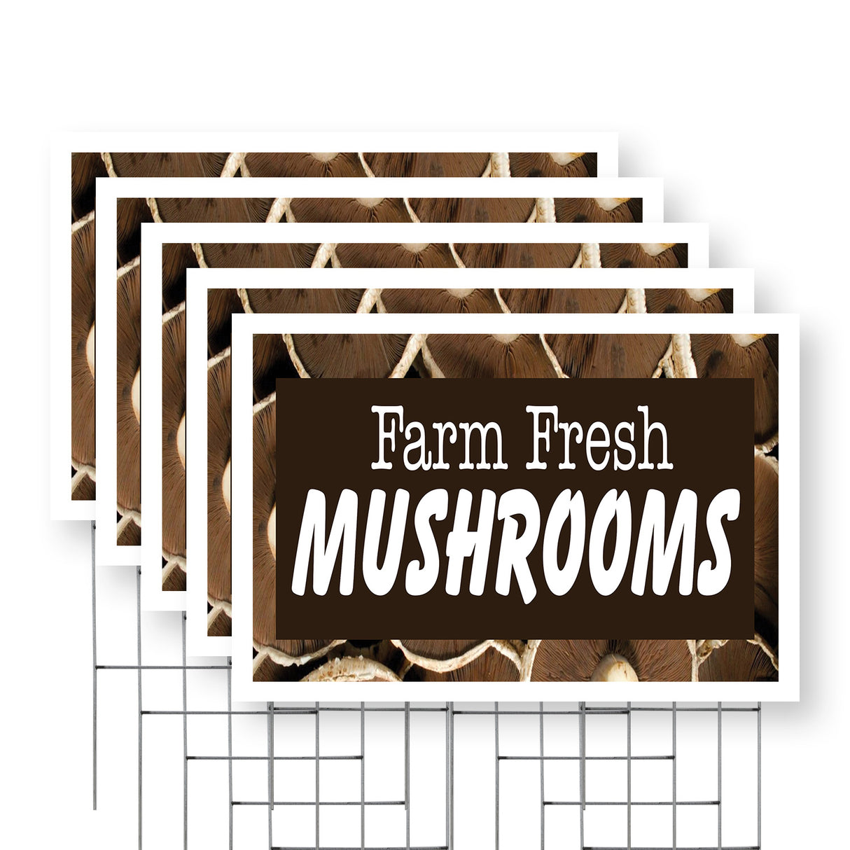 Farm Fresh Mushrooms