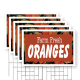 Farm Fresh Oranges