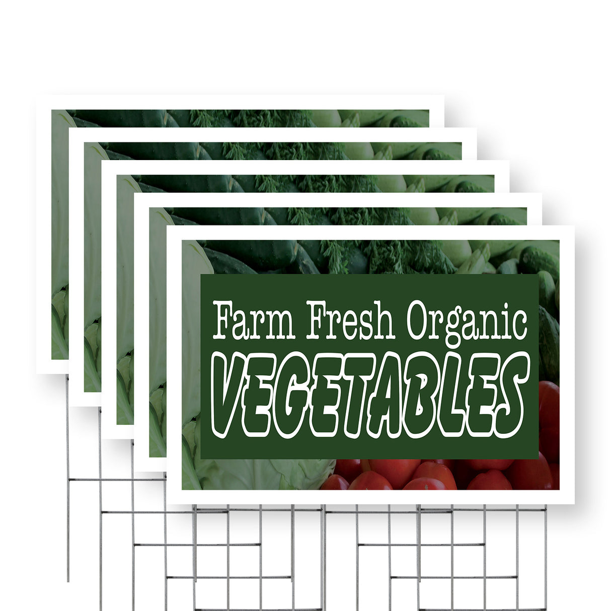 Farm Fresh Organic Vegetables