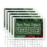 Farm Fresh Organic Vegetables