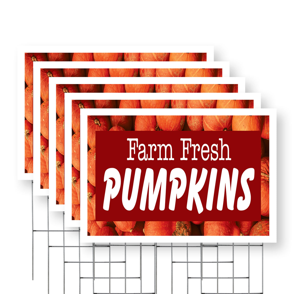 Farm Fresh Pumpkins