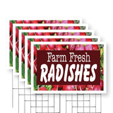 Farm Fresh Radishes