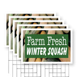 Farm Fresh Winter Squash