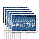 Pick Your Own Blueberries