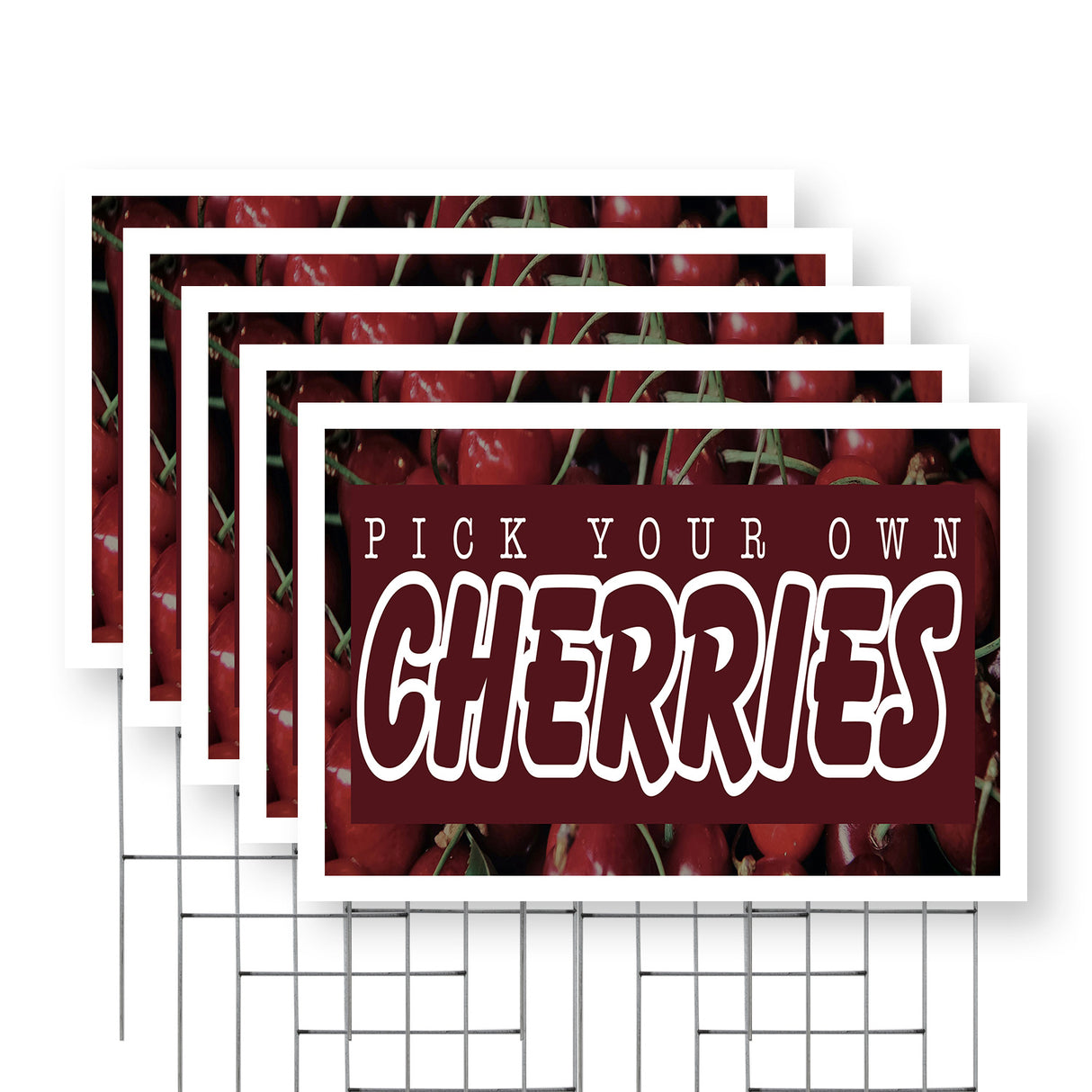 Pick Your Own Cherries