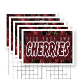 Pick Your Own Cherries
