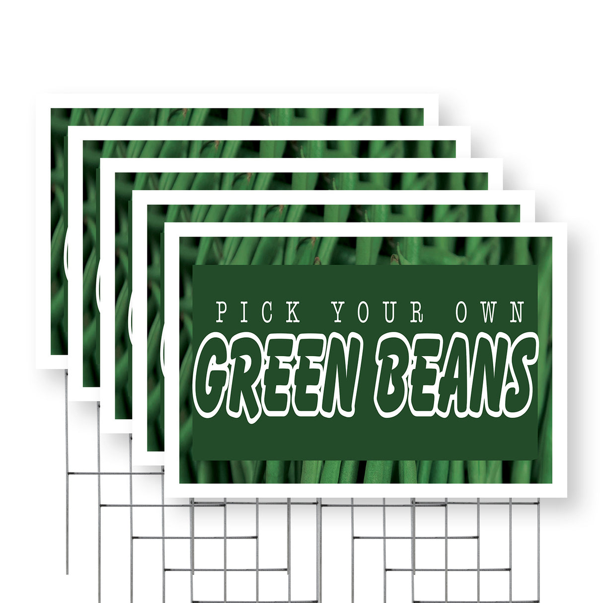 Pick Your Own Green Beans