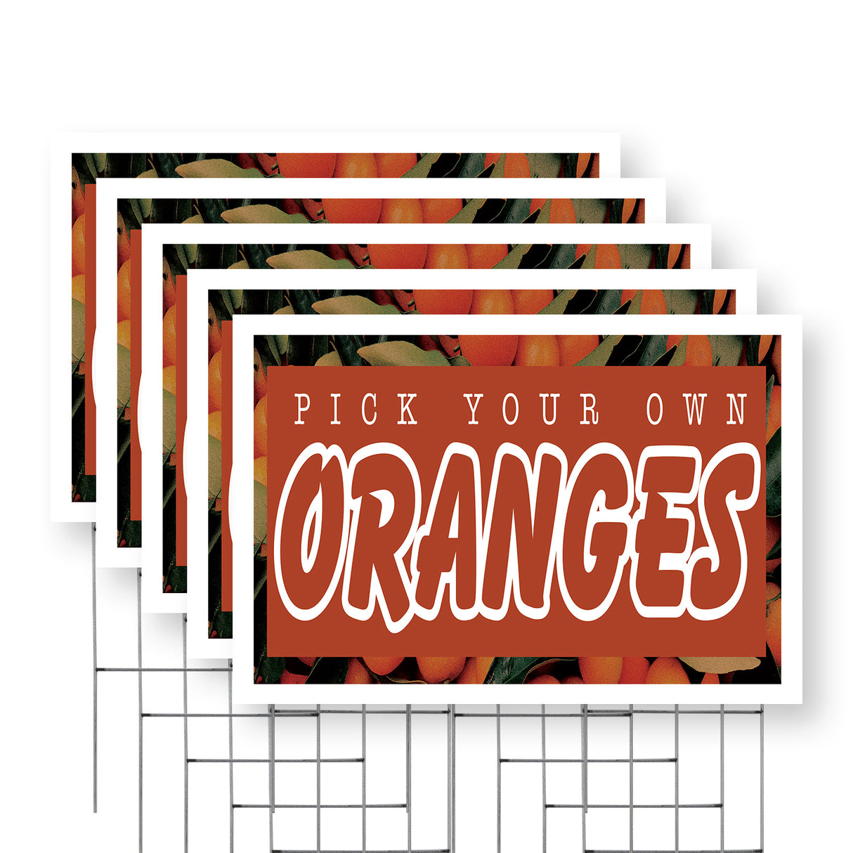 Pick Your Own Oranges