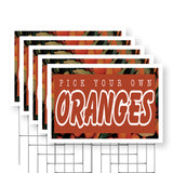 Pick Your Own Oranges