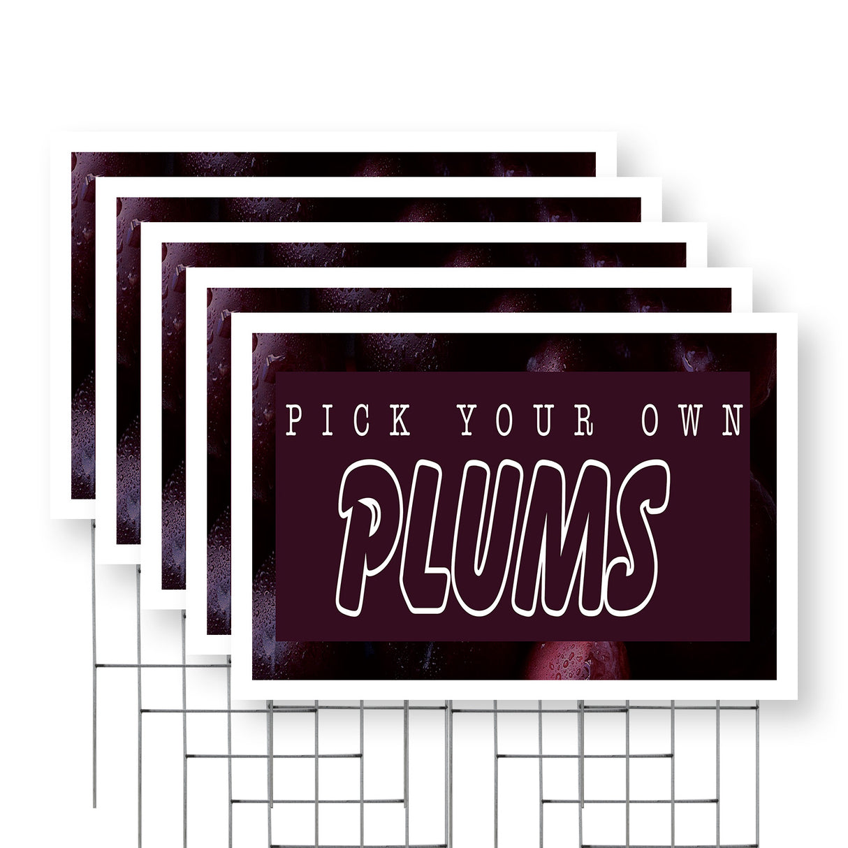 Pick Your Own Plums