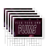 Pick Your Own Plums