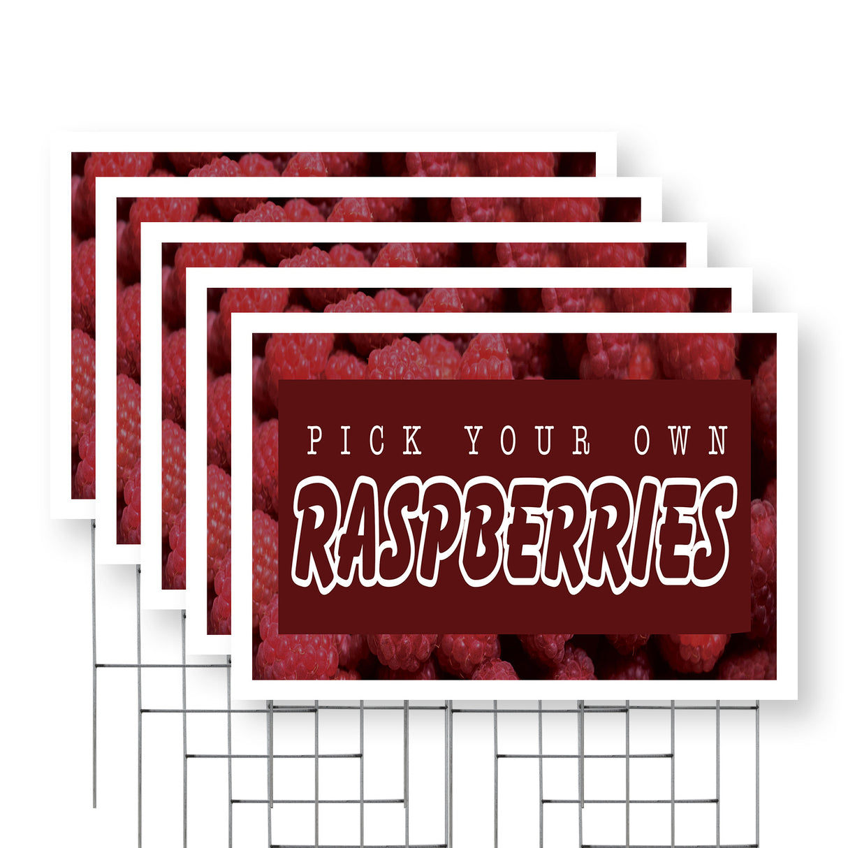 Pick Your Own Raspberries