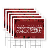 Pick Your Own Strawberries