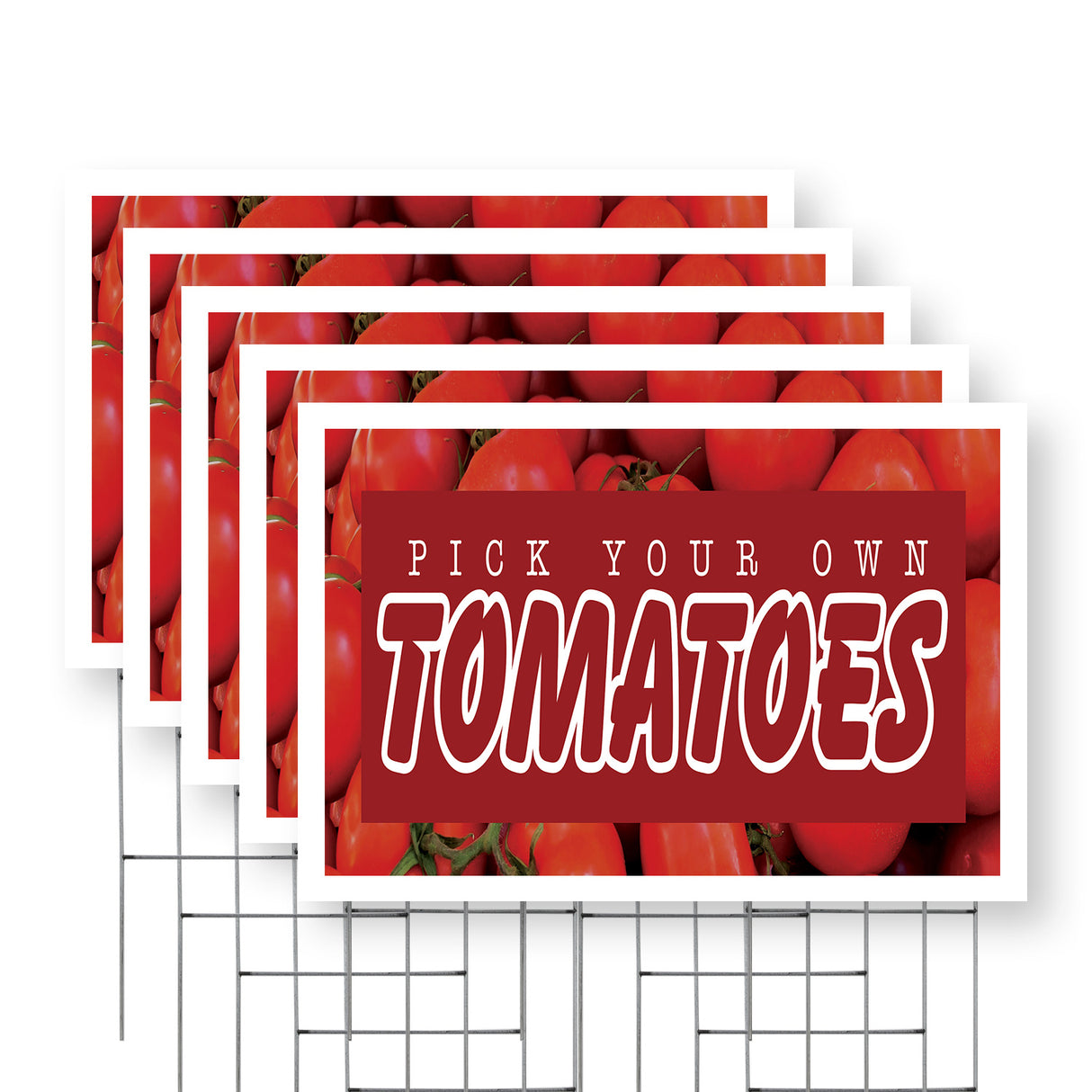 Pick Your Own Tomatoes