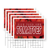 Pick Your Own Tomatoes