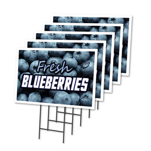 FRESH BLUEBERRIES