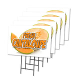 FRESH CANTALOUPE