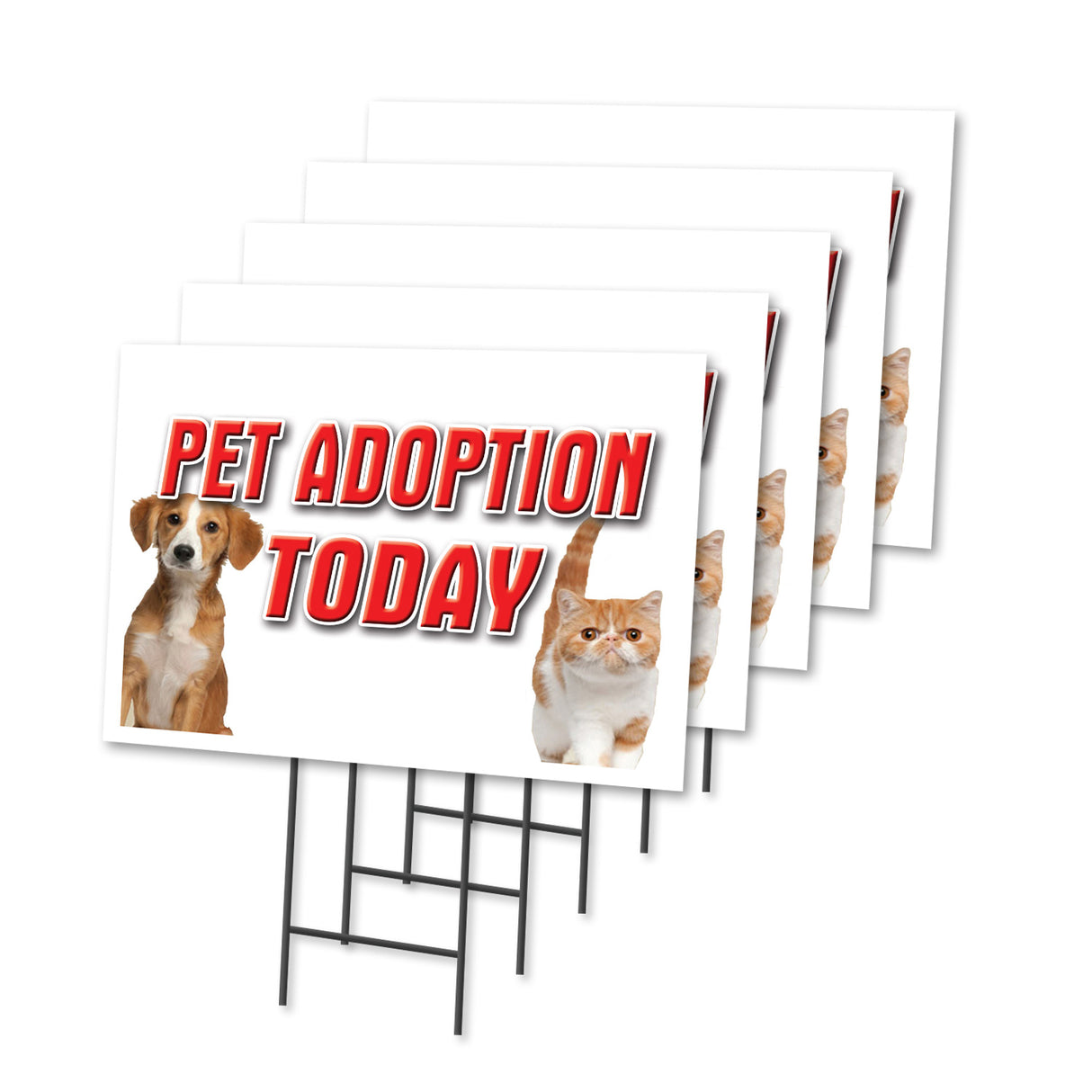 PET ADOPTION TODAY