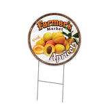 Farmer's Market Apricots Circle