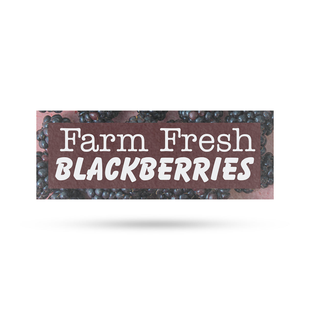 Farm Fresh Blackberries