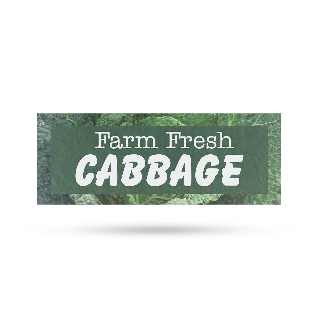 Farm Fresh Cabbage