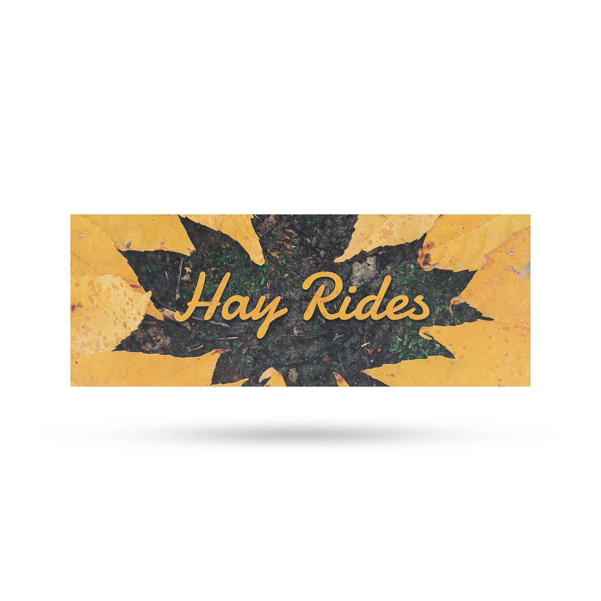 Hay Rides