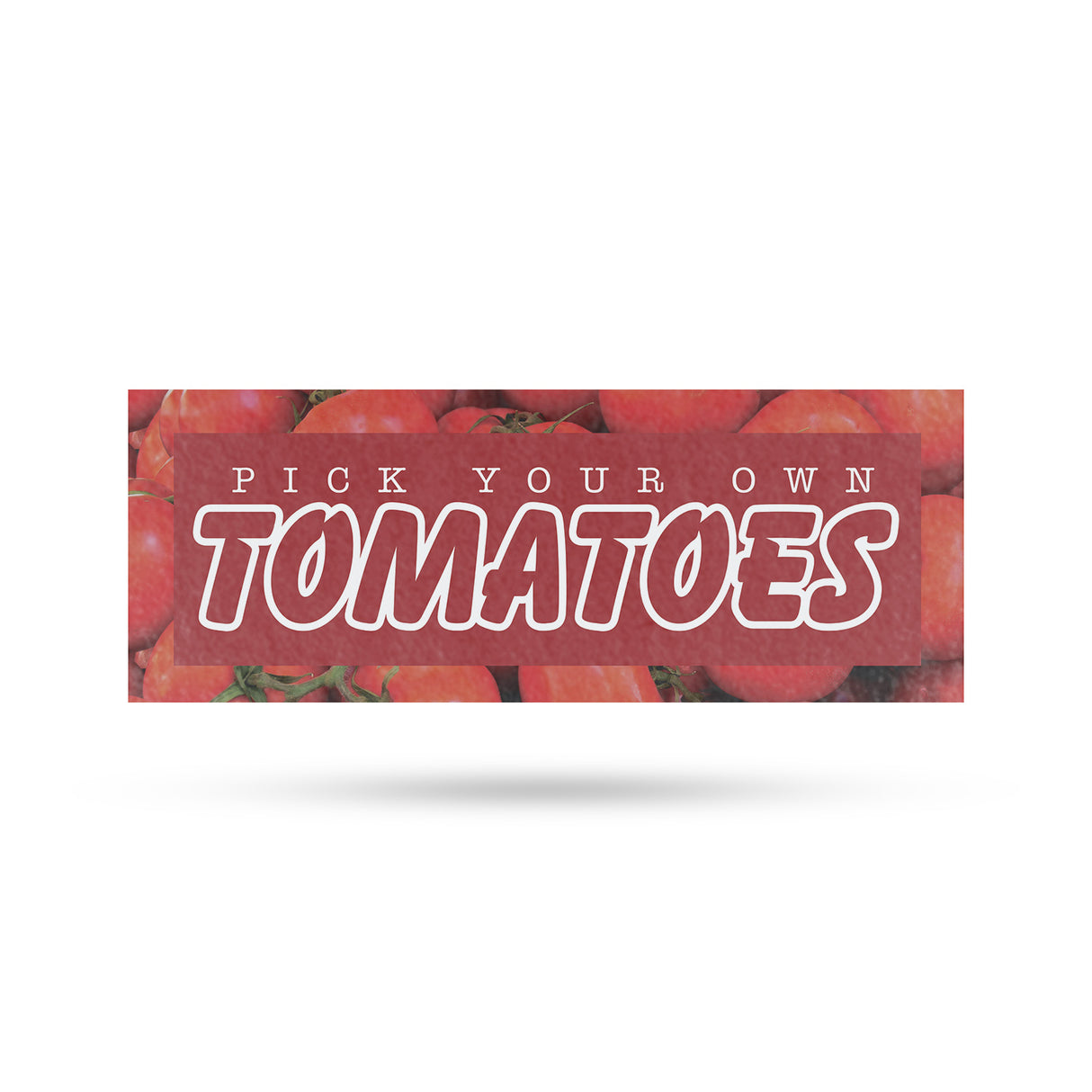 Pick Your Own Tomatoes