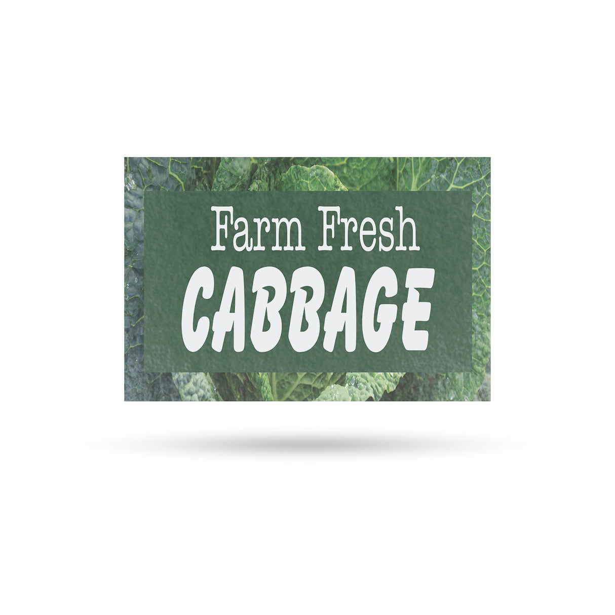 Farm Fresh Cabbage