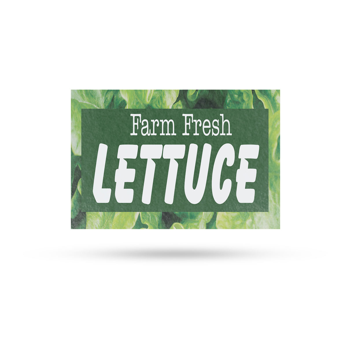 Farm Fresh Lettuce