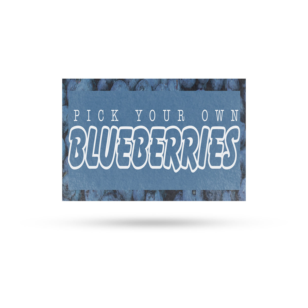 Pick Your Own Blueberries
