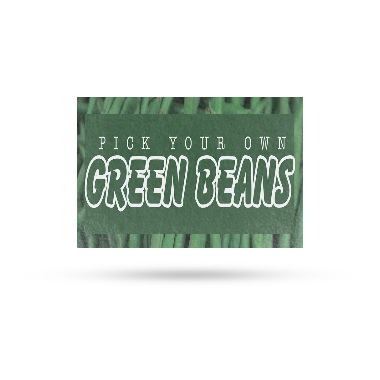 Pick Your Own Green Beans