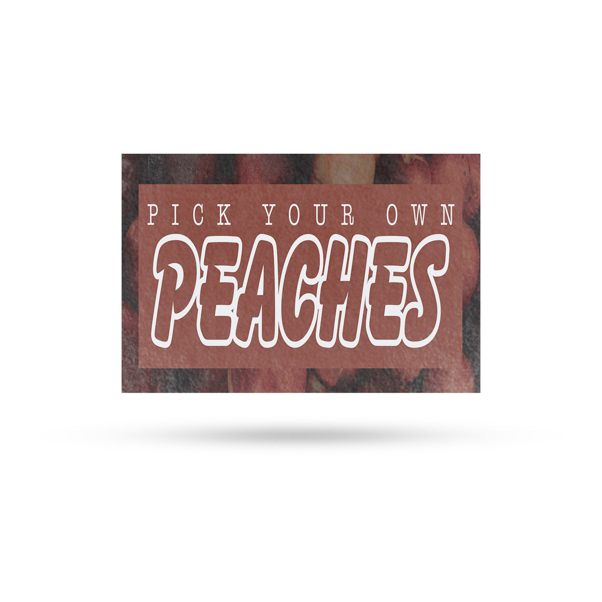 Pick Your Own Peaches