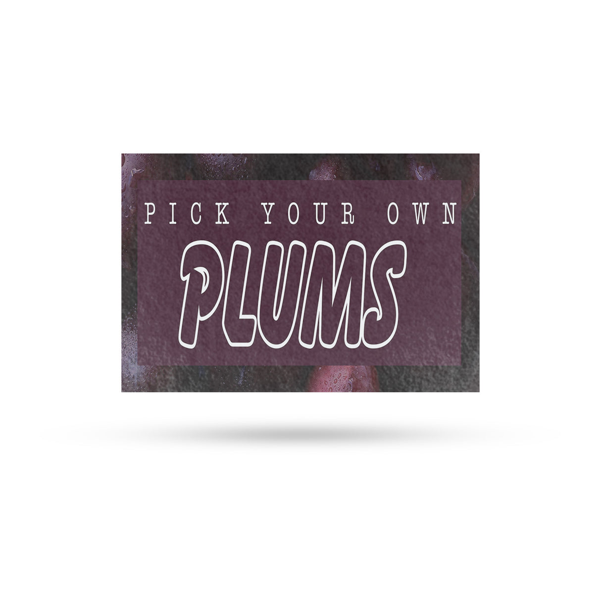 Pick Your Own Plums