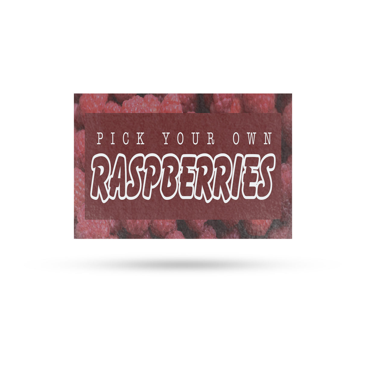 Pick Your Own Raspberries