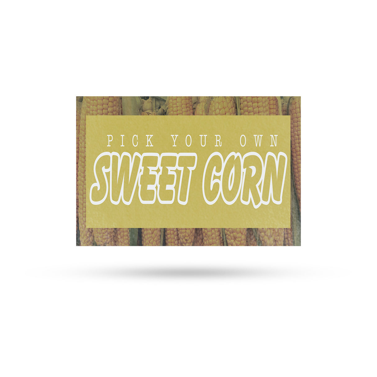 Pick Your Own Sweet Corn