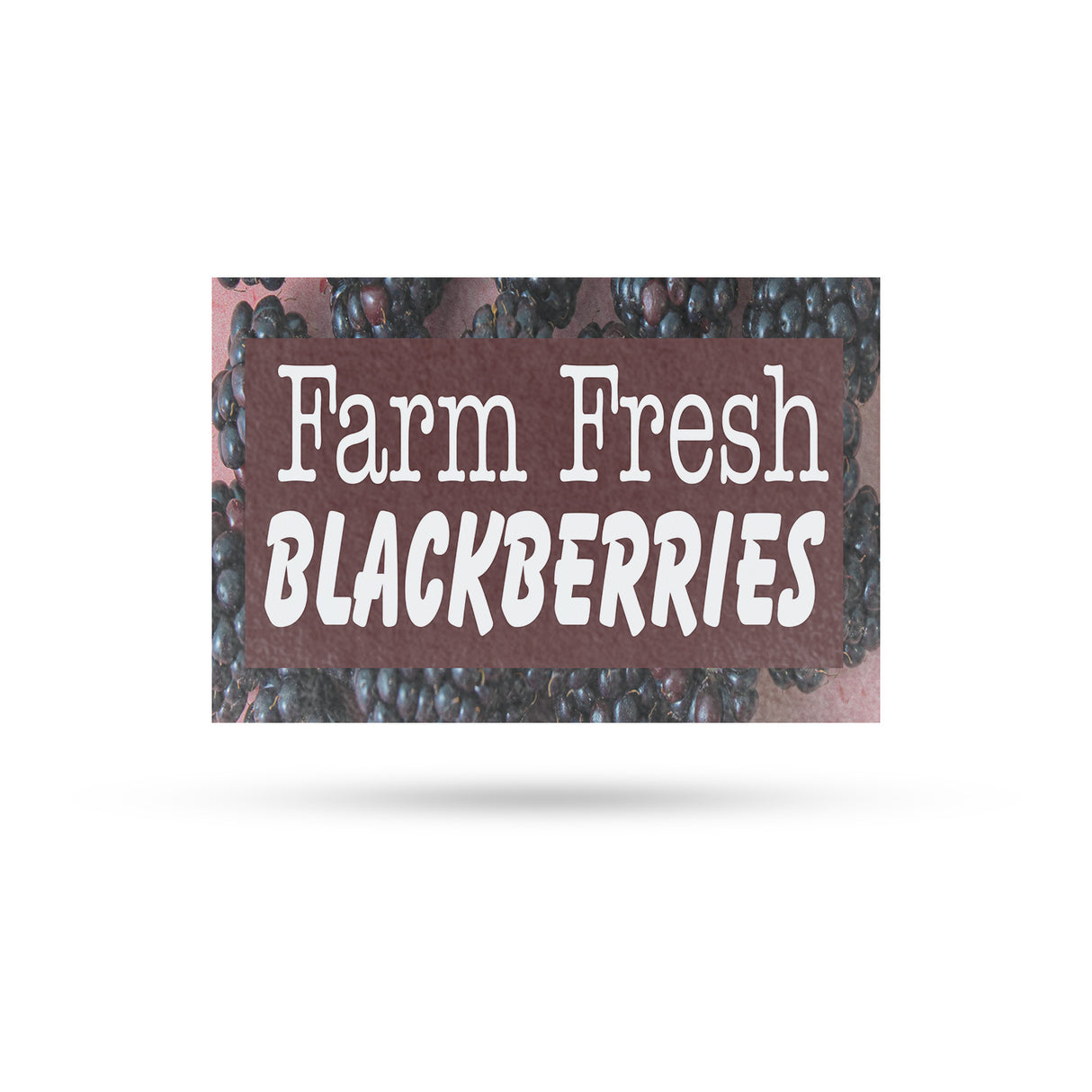 Farm Fresh Blackberries