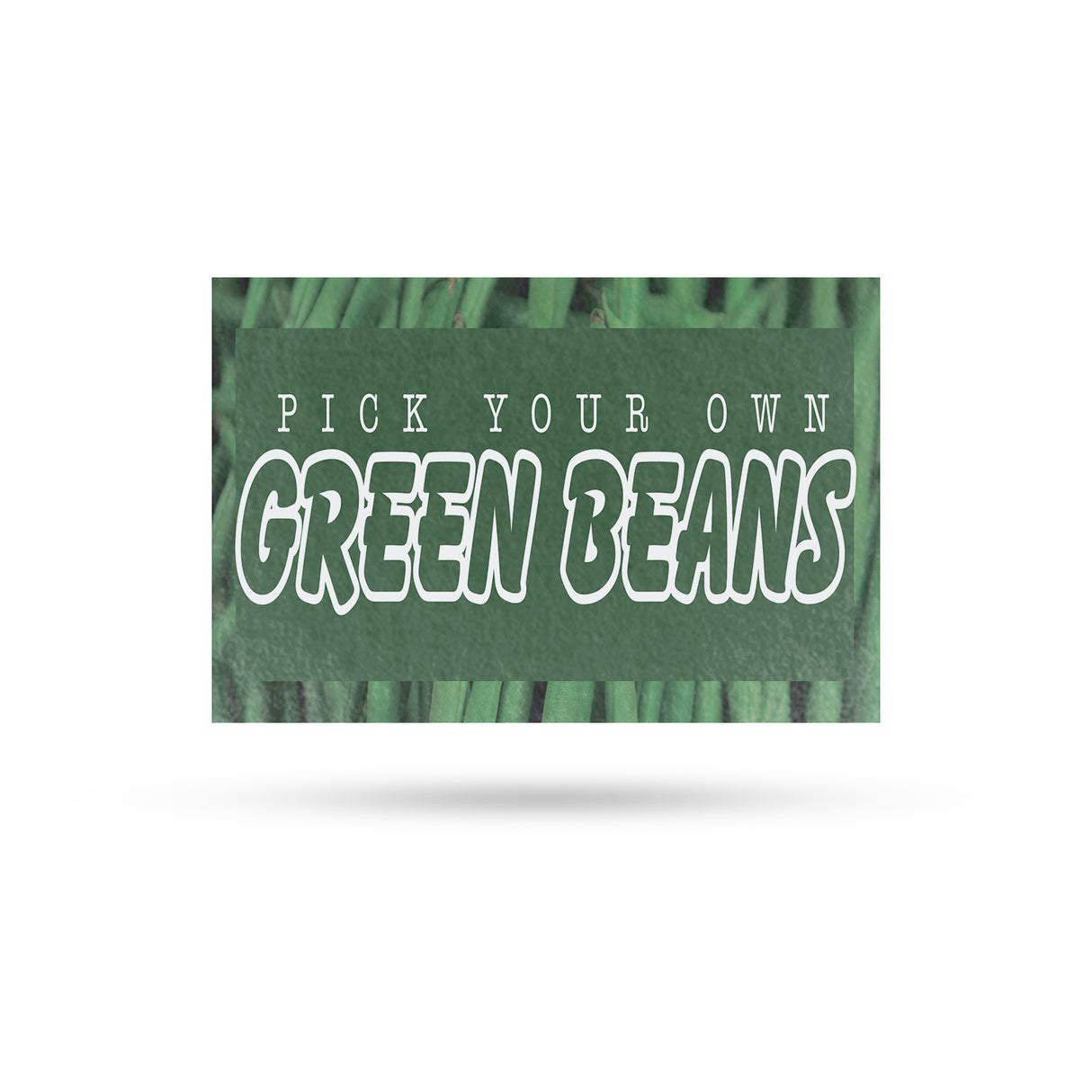 Pick Your Own Green Beans