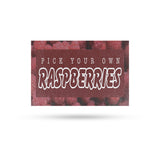Pick Your Own Raspberries