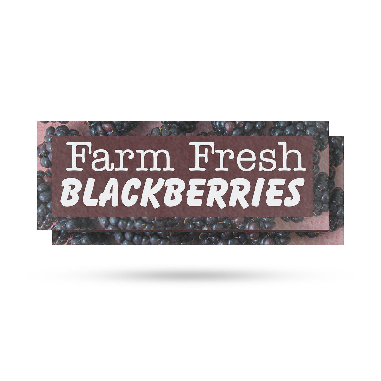 Farm Fresh Blackberries