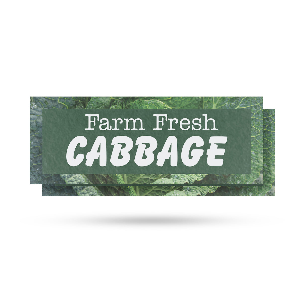 Farm Fresh Cabbage