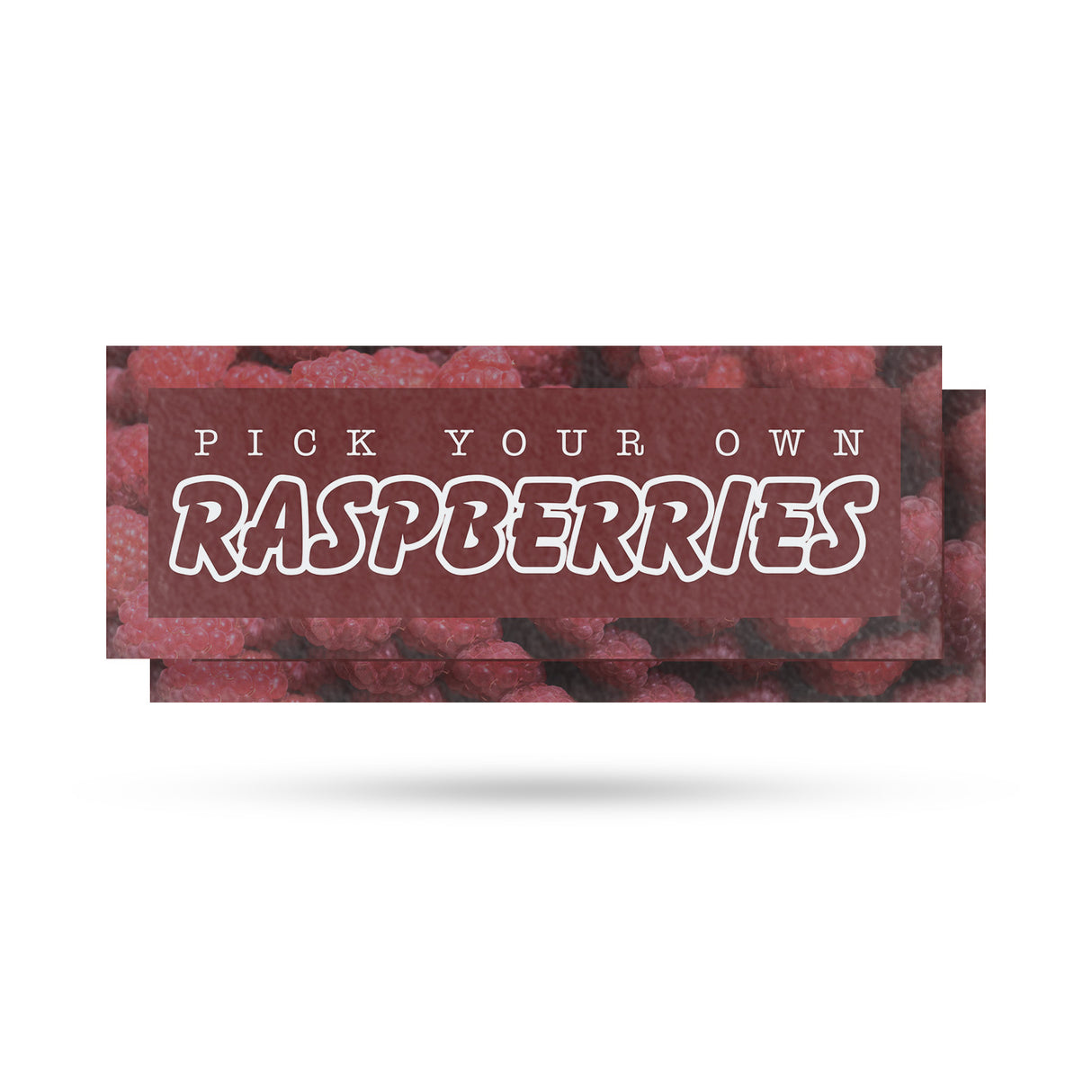 Pick Your Own Raspberries