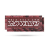 Pick Your Own Raspberries