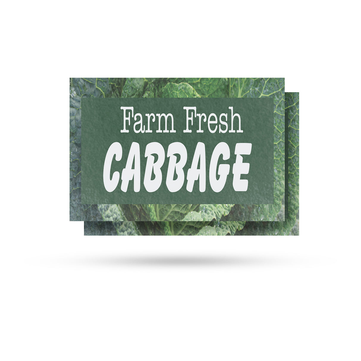 Farm Fresh Cabbage
