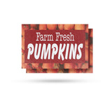 Farm Fresh Pumpkins