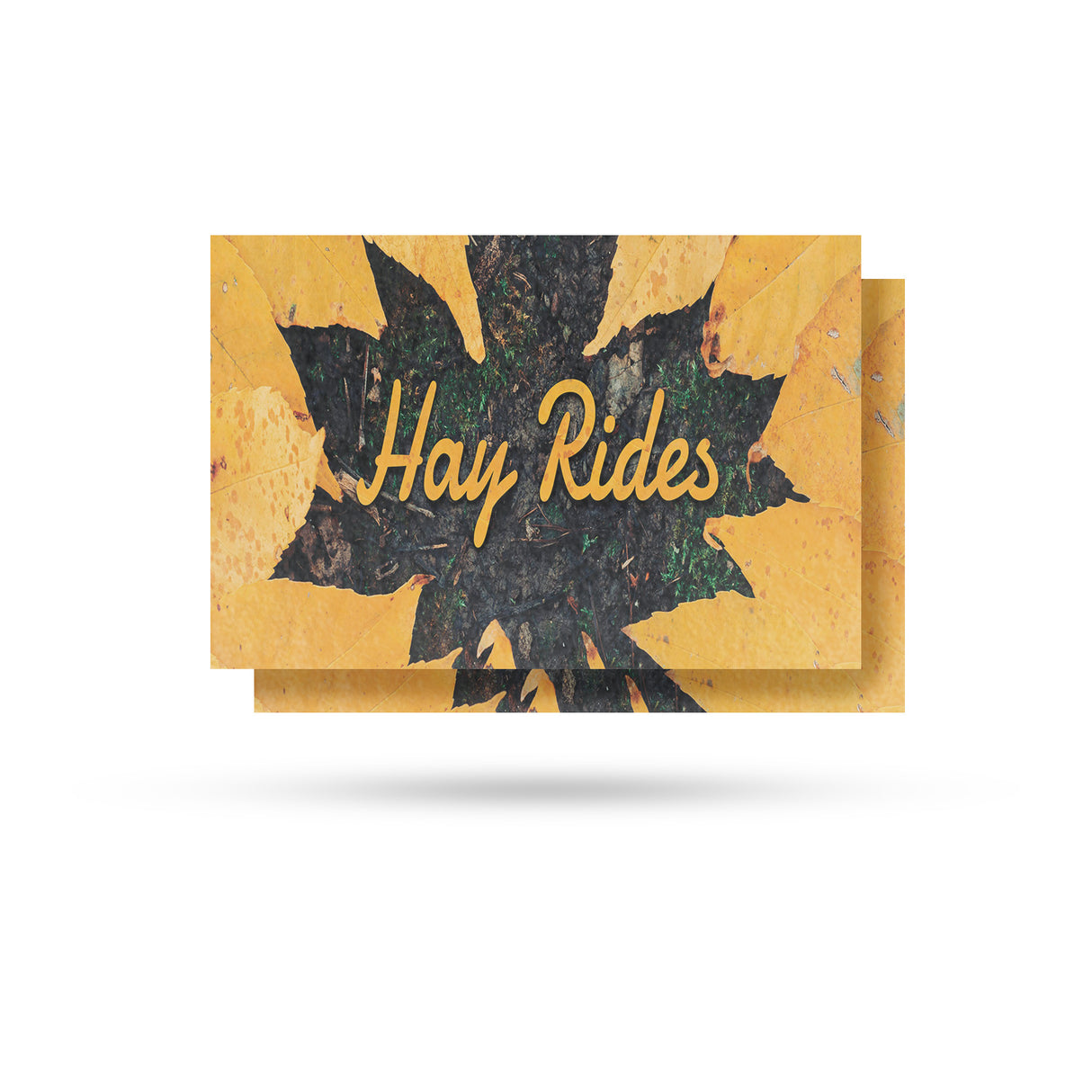 Hay Rides