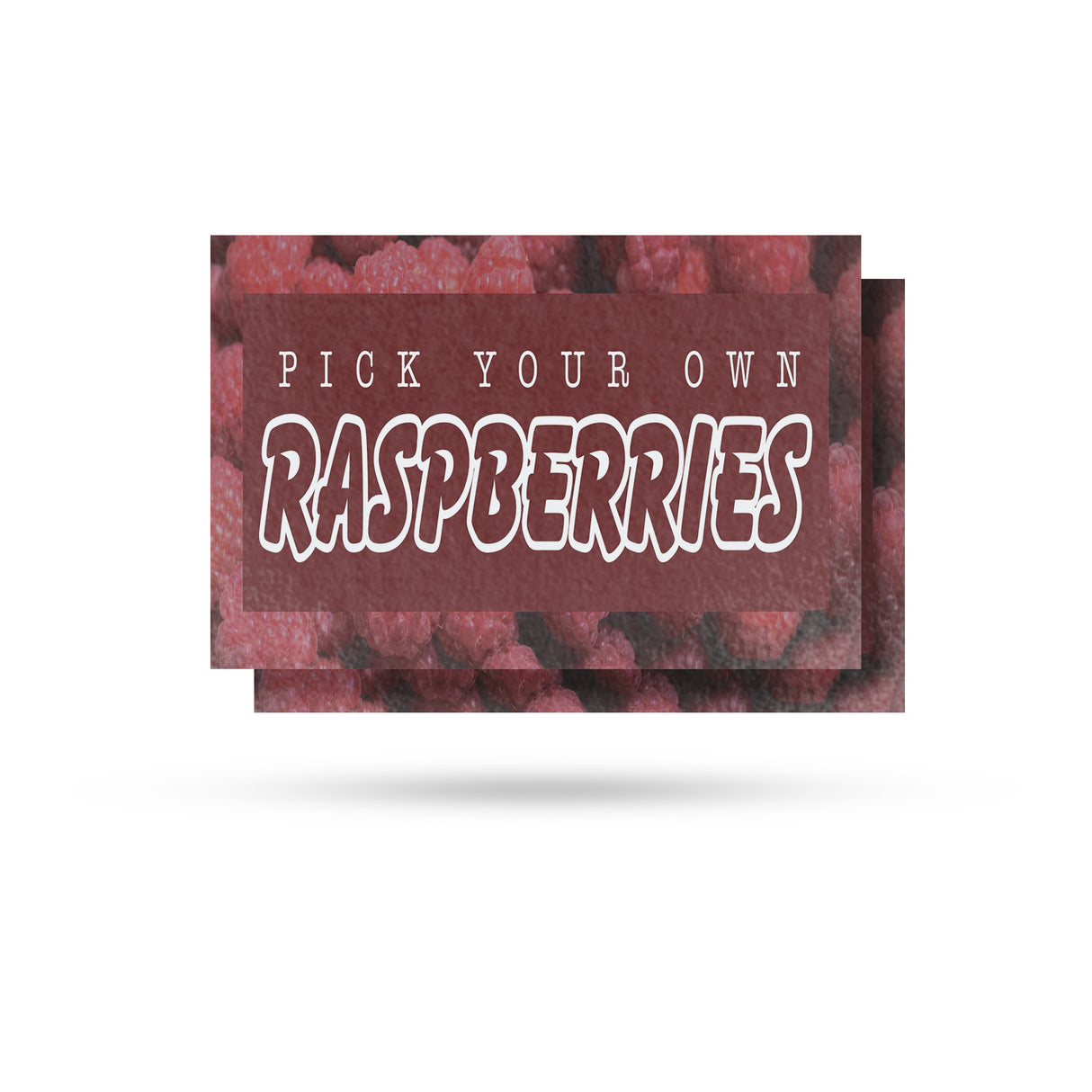 Pick Your Own Raspberries