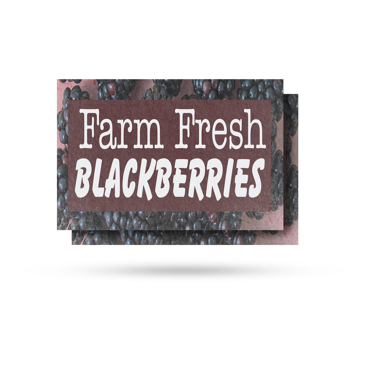Farm Fresh Blackberries