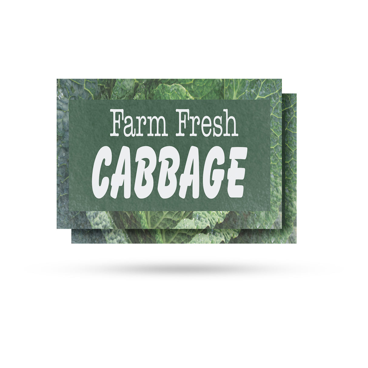 Farm Fresh Cabbage