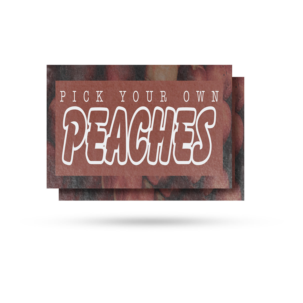 Pick Your Own Peaches