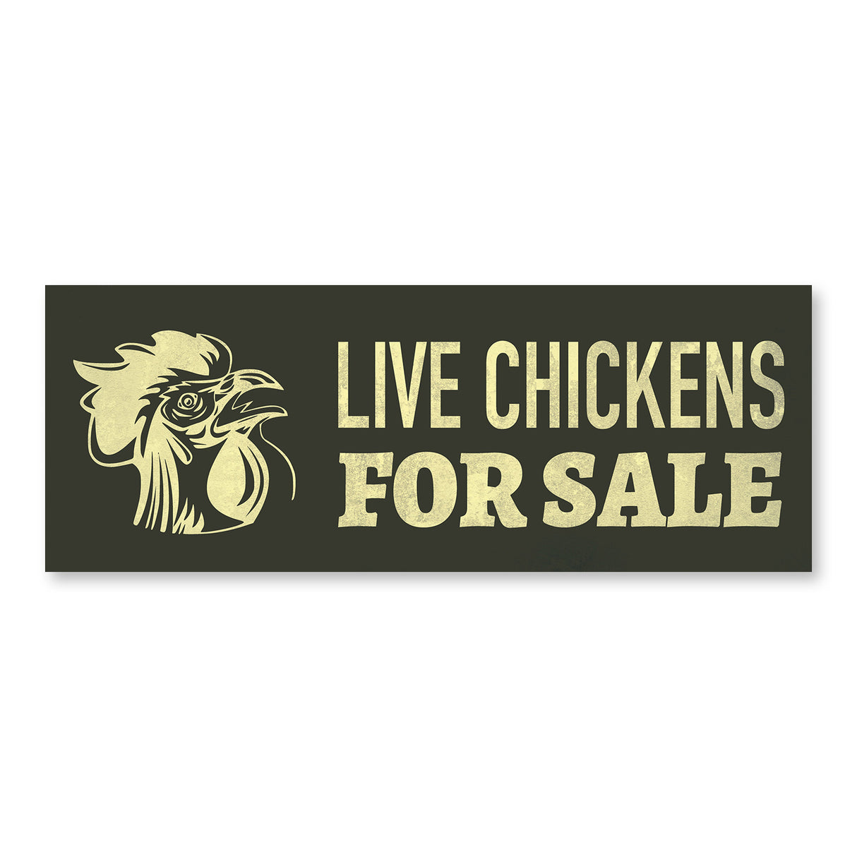 Live Chickens